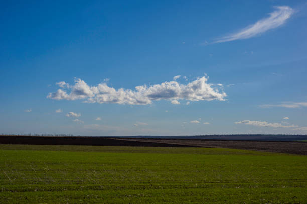 Green grass field on small hills and blue sky with clouds.