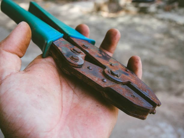 Piler Roda 80+ Piler Photos Stock Photos, Pictures & Royalty-Free Images - iStock