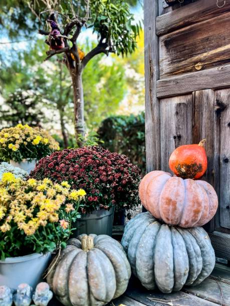 istock landscape halloween beautiful image flowers and colors 2184366331