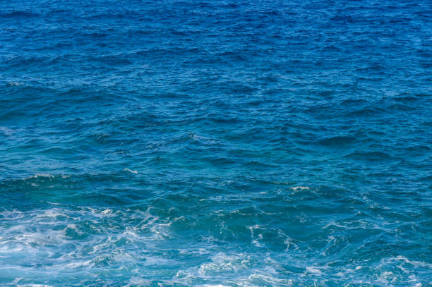 Clear blue waves roll softly onto the sandy shoreline under the warm sun, inviting relaxation and joy.