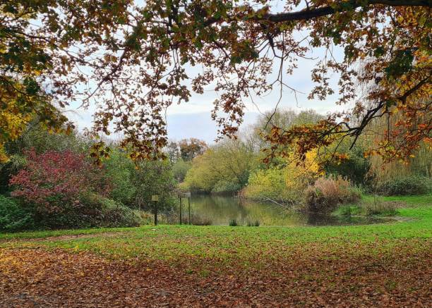 istock Autumn at the lake 2184367074