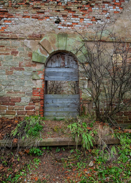 Rustic boarded archway in a weathered stone wall evokes a sense of forgotten architecture