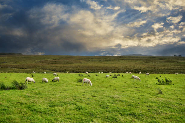 istock Landscapes in County Donegal Ireland 2184369912