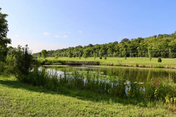 istock Calm Pond in the Country 2184369936