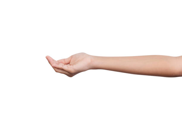 istock Girl hand open and ready to help or receive. Gesture isolated on white background with clipping path. 2184373936