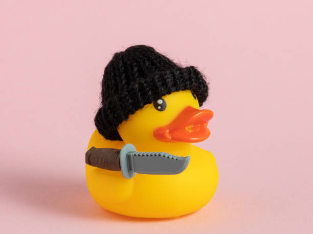 A yellow rubber duck in a black hat with a knife is chasing a duck with a pink purse. Concept of crime. stock photo