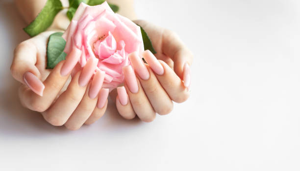 istock Woman showing her manicure and holding a pink rose 2184380155