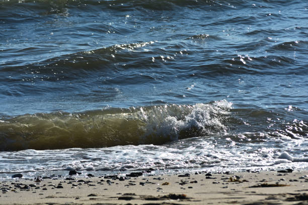 Waves on a river beach during low tide on a windy day