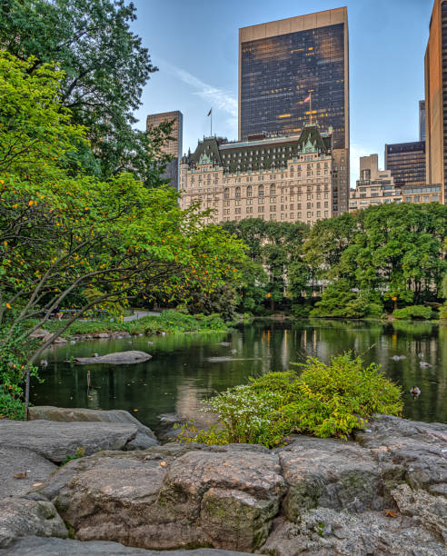 istock Gapstow Bridge in Central Park, early morning 2184387915