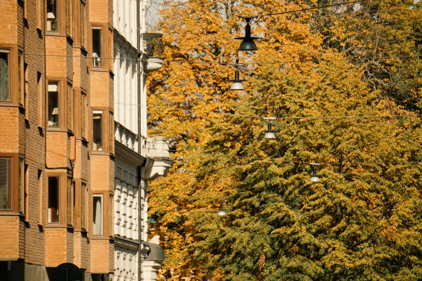 View of trees behind apartment building