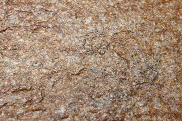 istock Textured Surface featuring Beautiful Natural Patterns that Captivate the Viewers Eye 2184397350
