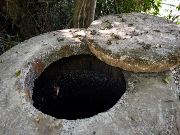 istock Environment with open sewage in nature seen from above all vegetated area. 2184398336