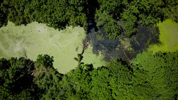 istock Environment with open sewage in nature seen from above all vegetated area. 2184398606