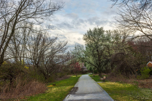 Pathway through quiet New Jersey park with trees in early spring bloom and overcast sky.
