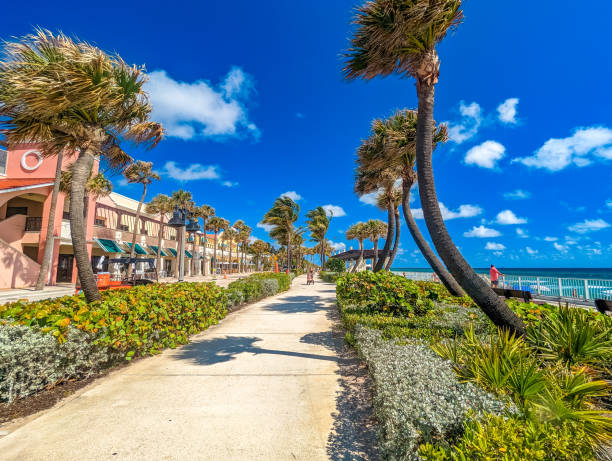 istock The Lake Worth Florida Pier / Waves 2184406283