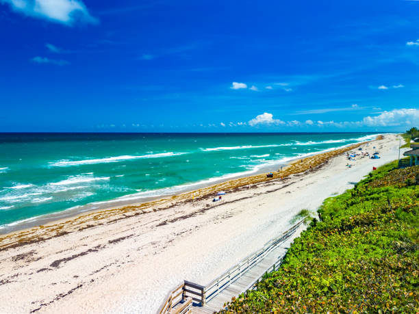 istock Phipps Ocean Park and Ibis Isle, West Palm Beach, Florida 2184406310