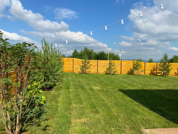 istock Newly laid lawn in the back garden in spring 2184410545