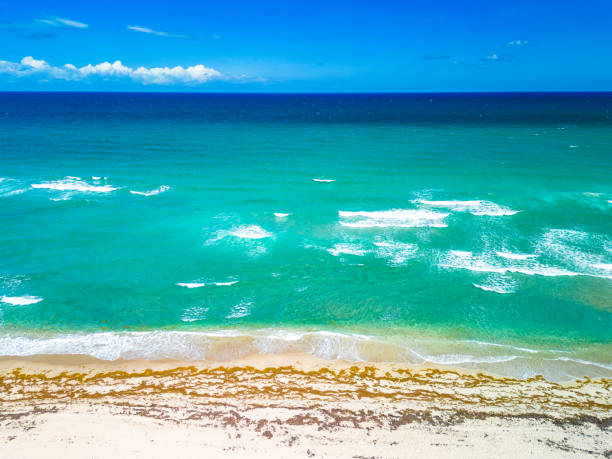 Phipps Ocean Park and Ibis Isle, West Palm Beach, Florida, USA