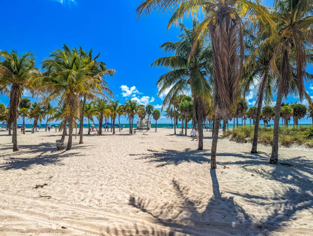 istock Beautiful Crandon Park beach in Key Biscayne in Miami 2184416451