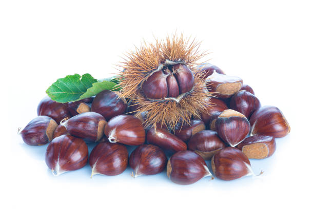 istock Chestnuts with leaves and burs isolated on a white background 2184417119