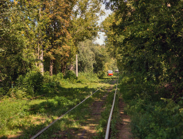 Long tram tracks running through the forest in Kyiv, Ukraine.