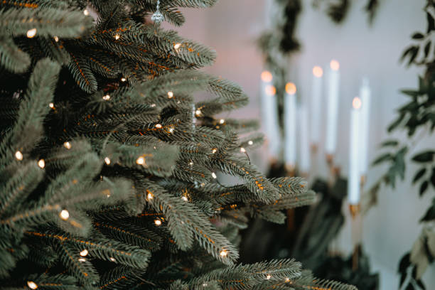 Decorated Christmas tree with soft lights and candles in a cozy room
