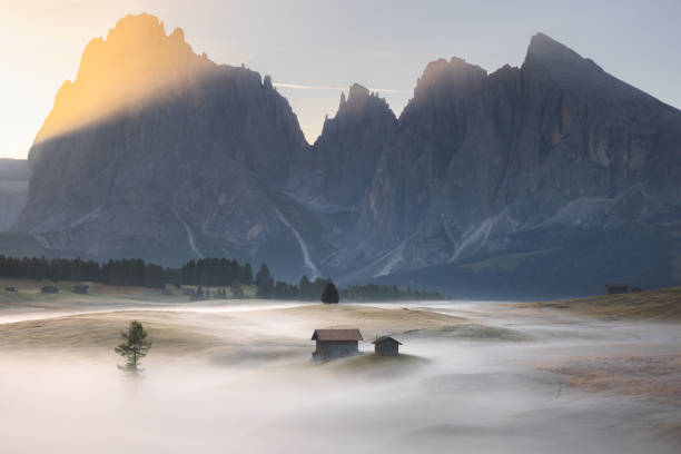 istock Alpe di Siusi. Dolomites, Italy 2184438130