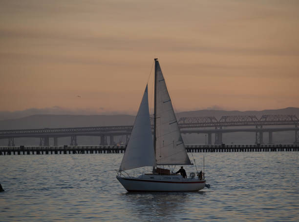 Berkeley, California, United States - October 20, 2008: Sailboat Heading Back To Marina Early Eveneing On Bay