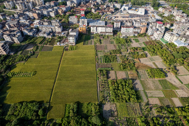 Aerial view of rural houses and fields