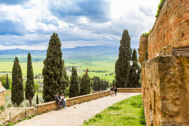 Cypresses at the panoramic view point of Pienza, Italy