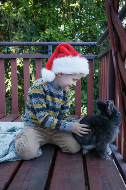 istock Cute boy and rabbit wearing Santa hat on terrace 2184461837