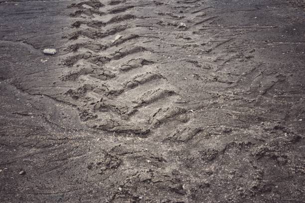 istock Wheel tracks on the soil road background or texture 2184462357