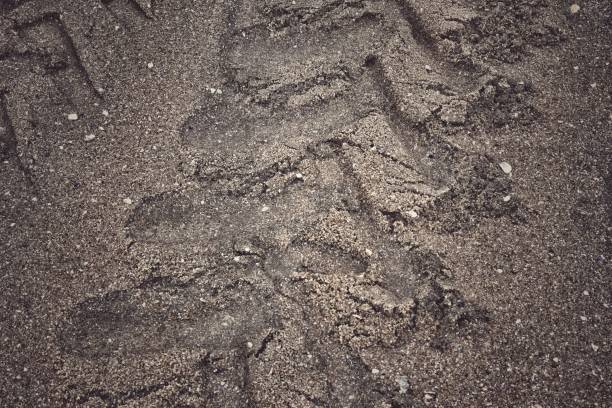 istock Wheel tracks on the soil road background or texture 2184462370