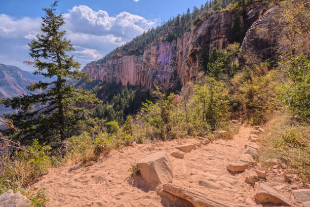 8th Switchback along North Kaibab Trail at North Rim AZ