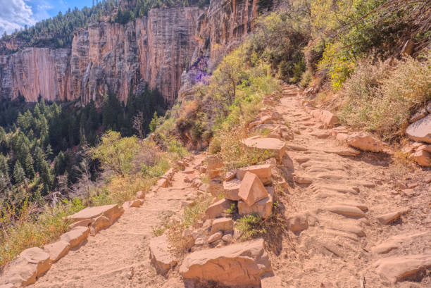 istock 10th Switchback along North Kaibab Trail at North Rim AZ 2184462386