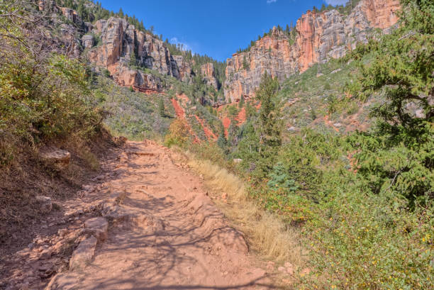 20th Switchback along North Kaibab Trail at North Rim AZ in North Rim, Arizona, United States