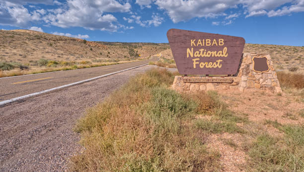 istock Westbound US89A at the Kaibab National Forest Boundary 2184462471