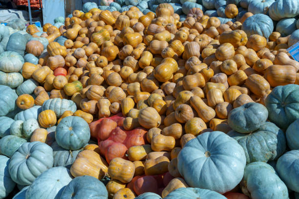 A pile of pumpkins and apples in Tashkent, Uzbekistan