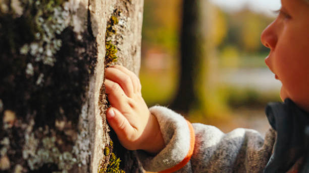 A young Caucasian boy clad in a cozy jacket gently touches the rough bark of a tree, exploring the natural textures of an autumnal woodland.
