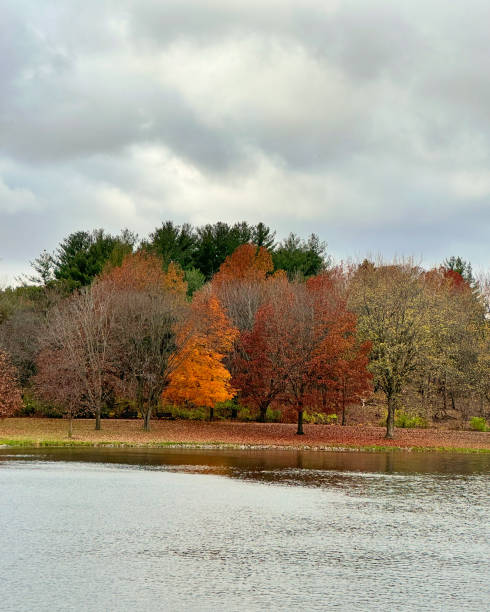 istock Lakeview retreat 2184464445