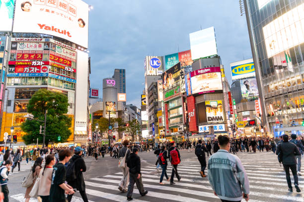 Crowds of tourists walking at Shibuya crossing Tokyo, Japan - Nov 05, 2024; Crowds of tourists walking at Shibuya crossing the largest and popular pedestrian scramble crossing in Shibuya, Tokyo tokyo crowds on the famous shibuya crossing japan stock pictures, royalty-free photos & images
