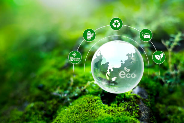 istock Globe Glass In Green Forest With Sunlight. Environment concept. Carbon neutral concept Net zero greenhouse gas emissions target Green globe 2184469012
