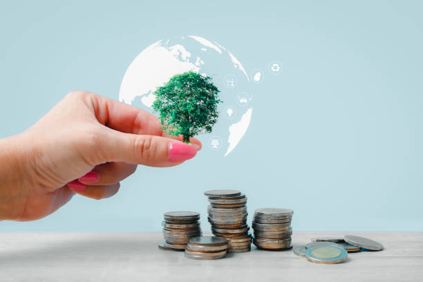 istock Hand putting coins on a stack with plant growing on the money. Ecology and Environment concept 2184469141