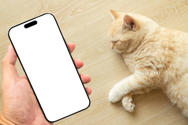 istock Home life with a pet. 2184476119