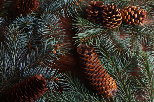 istock Spruce branches on a wooden background 2184479641