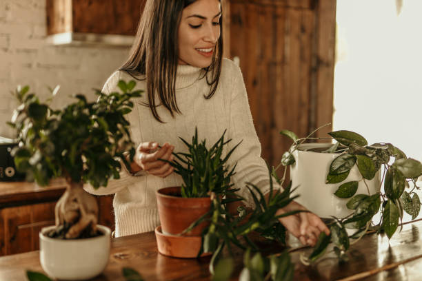 istock Home is where plants are 2184482116