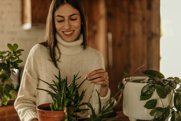 istock Love taking care of my plants 2184482117