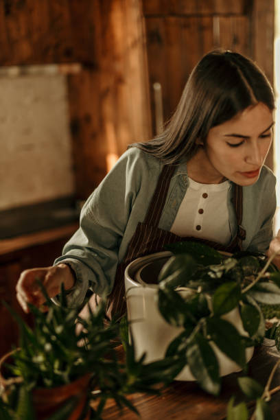 istock Tending my green companions 2184483033