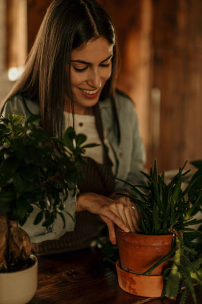 istock Tending my green companions 2184483312