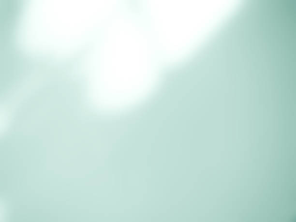 Wall summer background light blue gradient abstract floor blur cement pastel overlay shadow palm leaf minimal for presentation product cosmetic aesthetics beauty, platform backdrop room mockup.